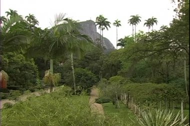 Rio de Janeiro güzel Bahçe