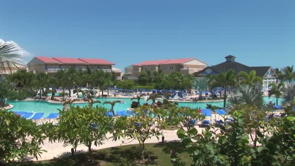 Caribbean üzerinde Resort havuz — Stok video