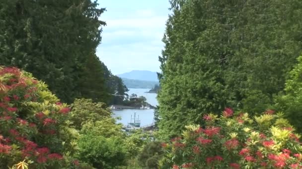 Zatoka na wyspie Wyspa Vancouver — Wideo stockowe