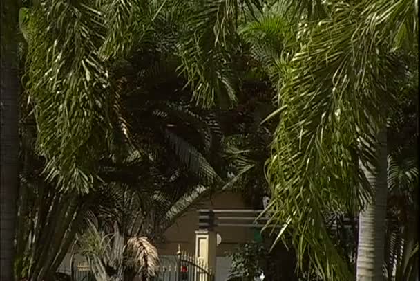 Ipanema Park, Rio de Janeiro — Stok video