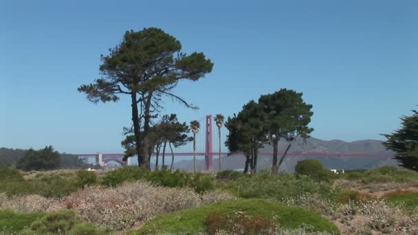 Vista del puente Golden Gate desde el parque — Vídeos de Stock