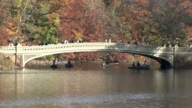 New York 'taki Central Park