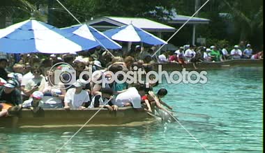 Yunuslar Seaworld Orlando Florida Tema Parkı içinde