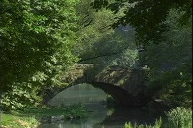 New York City Park