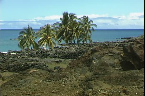 Hawaiian Traditional Village negli Stati Uniti — Video Stock