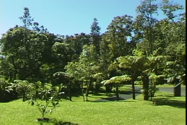 Hilo park auf hawaii — Stockvideo