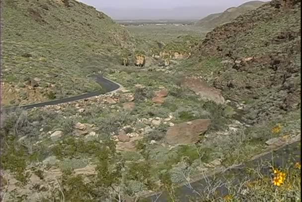 Estrada de asfalto no deserto — Vídeo de Stock