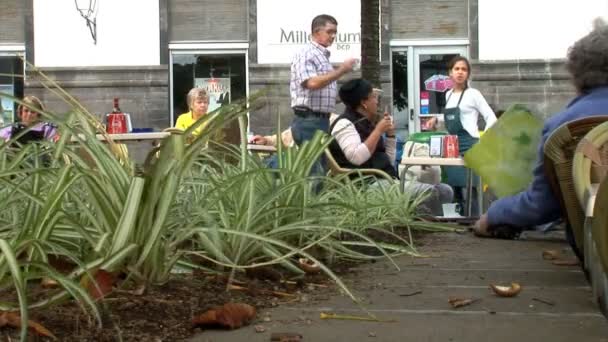 Cafe in Porta Delgada city — Stock video