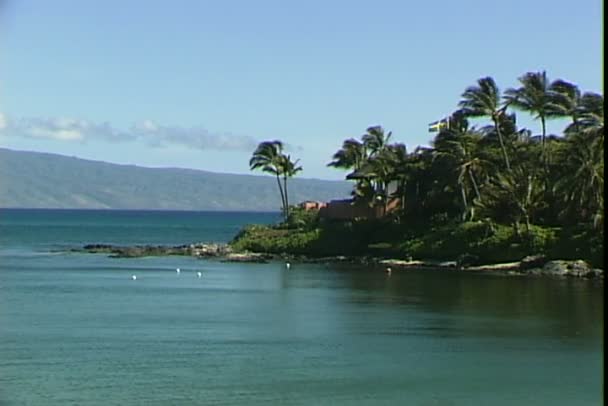 Cala privada en Hawái — Vídeos de Stock