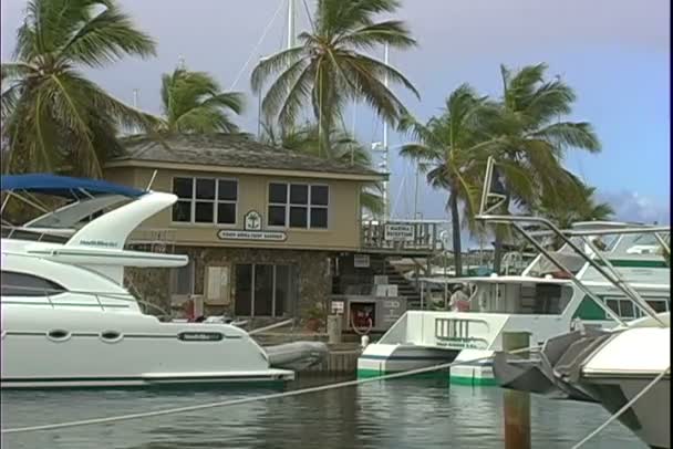 Yachts in harbor on Saint Vincent and the Grenadines — Stock Video