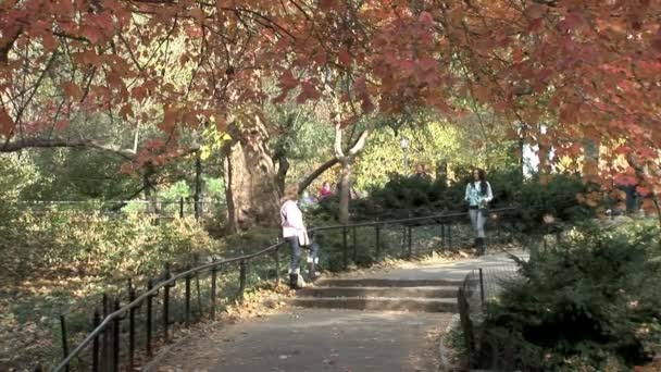 Central Park New Yorkban — Stock videók