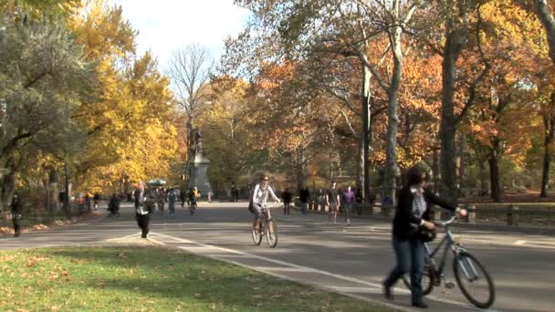 Central Park New Yorkban — Stock videók