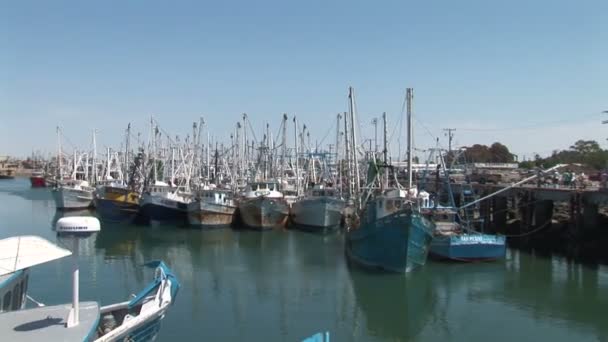 マリーナで漁船 — ストック動画