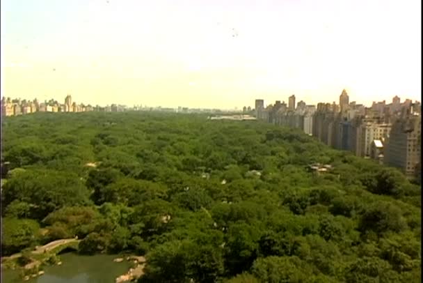 Parque en la ciudad de Nueva York — Vídeo de stock