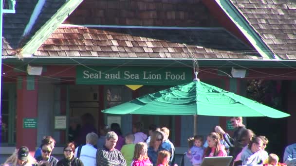 Parque temático SeaWorld Orlando — Vídeo de stock