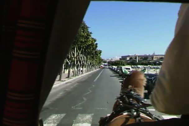 Horse carriage riding on road — Stock Video