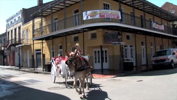 Transporte con caballo en New Orlans — Vídeos de Stock