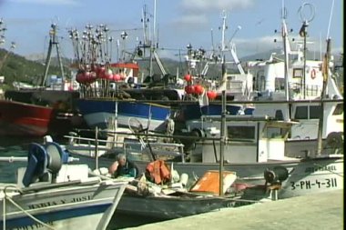 Balıkçı Net giderir