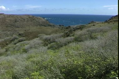 Batı Maui Hawaii rock kıyısında