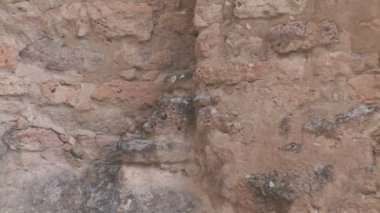 New Mexico'daki Anasazi Köyü Harabeleri