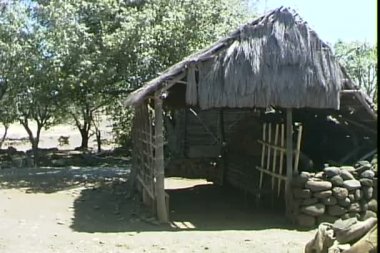 Geleneksel Hawaiian Hut 