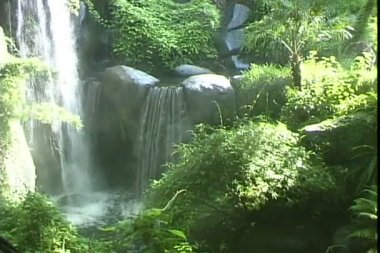 Tema park bahçelerde çalı