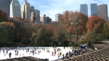 New York'taki Central Park'ta buz pateni pisti