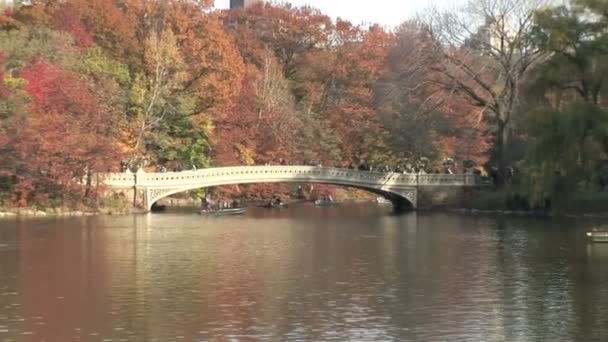 Central park i New York — Stockvideo