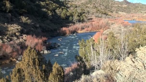 Rio Grande Nehri çölde — Stok video