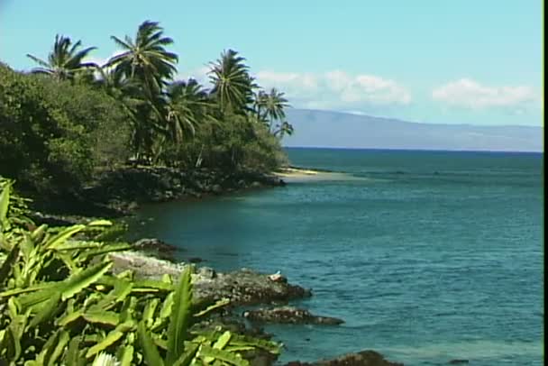 Spiaggia di Honolulu alle Hawaii — Video Stock