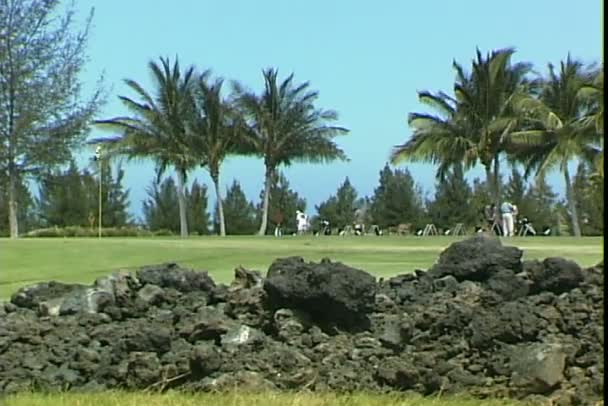 Kona Golfplatz in Hawaii — Stockvideo