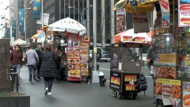 Blick auf New York City — Stockvideo