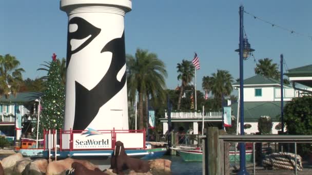 SeaWorld Orlando theme park — Stockvideo