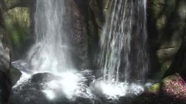 Wodospad w parku rozrywki — Wideo stockowe
