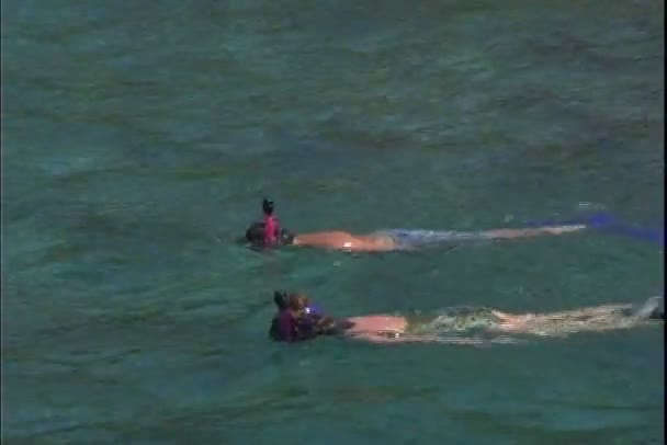 Les enfants nagent dans l'eau de mer — Video