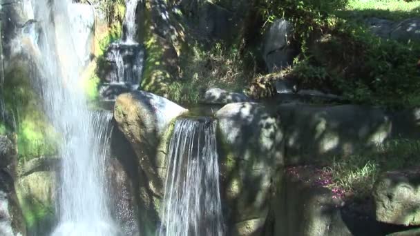 Cachoeira no parque temático — Vídeo de Stock