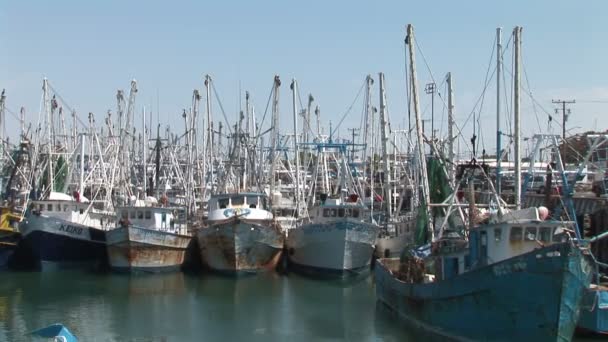 Barcos de pesca em Marina — Vídeo de Stock