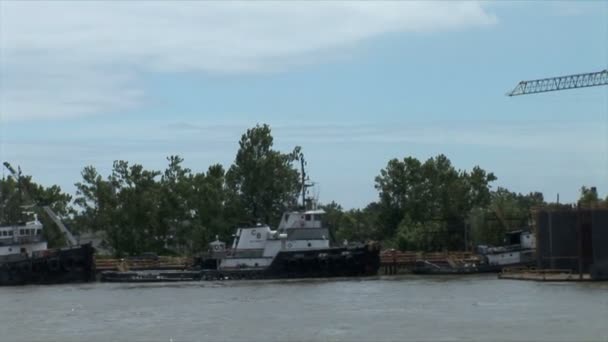 River in New Orleans city — Stock Video