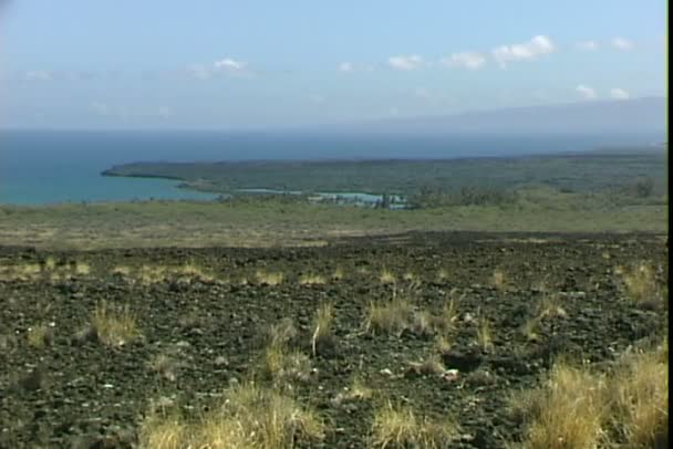 Kiholo 湾に近い溶岩フィールド — ストック動画