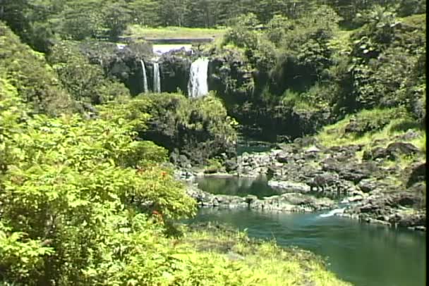 Cascata di Umikoa nella foresta tropicale — Video Stock