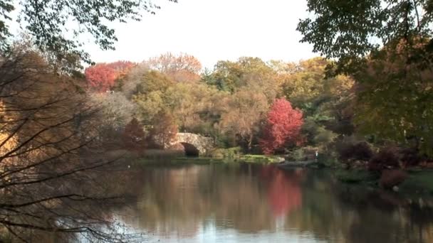 Central Park v New Yorku — Stock video