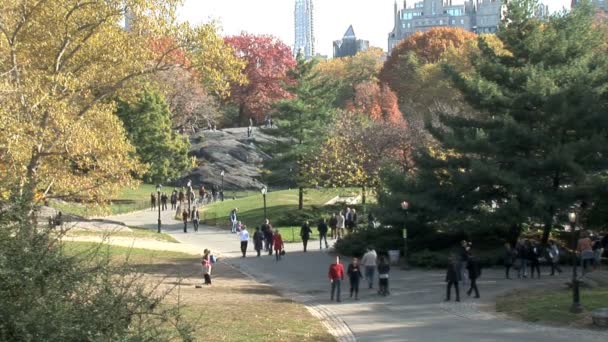 ニューヨークのセントラルパーク — ストック動画