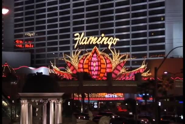 Flamingo hotel met neon teken in Las Vegas — Stockvideo