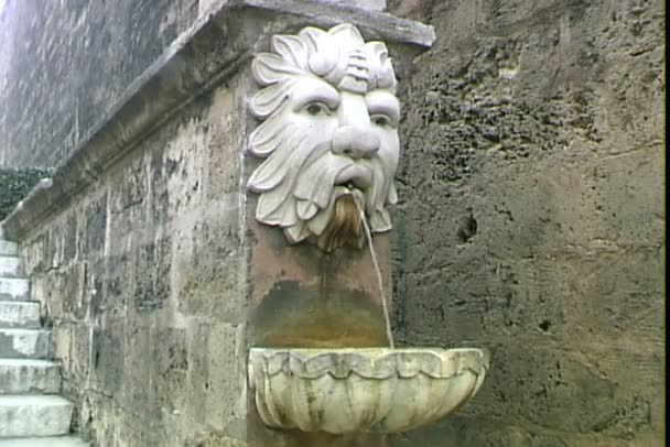 Lion Fountain on building on Malta — Stock Video