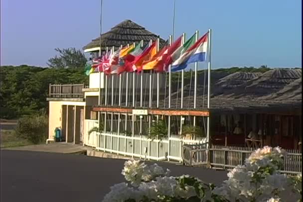 International flags in front of airport — Stock Video