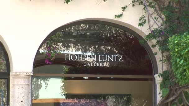 Holden Luntz Gallery in Pam Beach — Stock Video