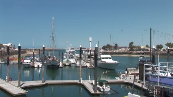 Barcos de pesca en Marina — Vídeos de Stock