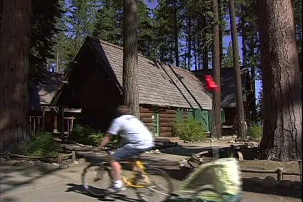 Visitors in Park with pine trees — Stock Video