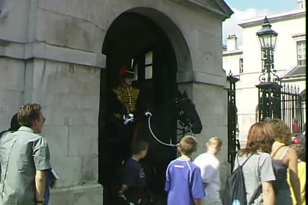 Sentry on Horse in London — Stock Video