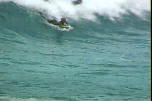 Os snowboarders estão flutuando nas ondas do oceano — Vídeo de Stock